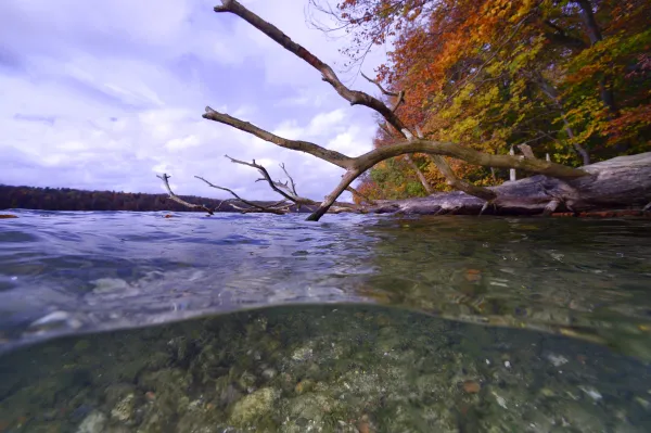 Flussbild-Original-vom-IGB-Solvin-Zankl-20201028_151035-2